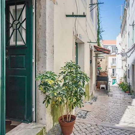 Alfama Lyfe - Historic In Fado District